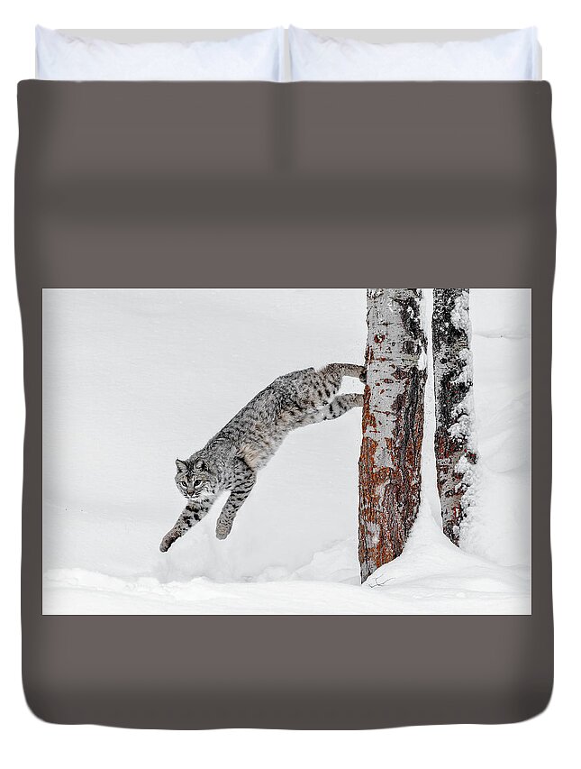 Leapin Bobcat Duvet Cover featuring the photograph Leapin Bobcat by Wes and Dotty Weber