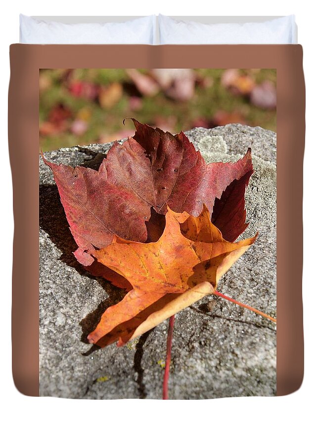 Leaves Duvet Cover featuring the photograph Leaves by Caroline Stella