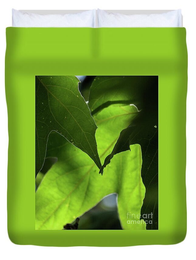 Leaves Duvet Cover featuring the photograph Leaves by Christy Garavetto