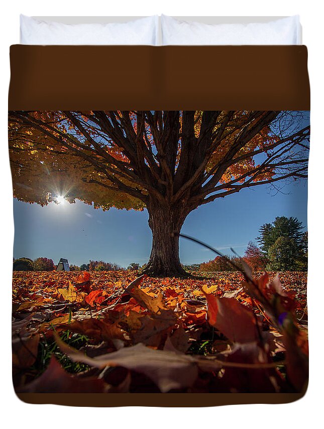 Sunlight Duvet Cover featuring the photograph Leaves by Darryl Hendricks