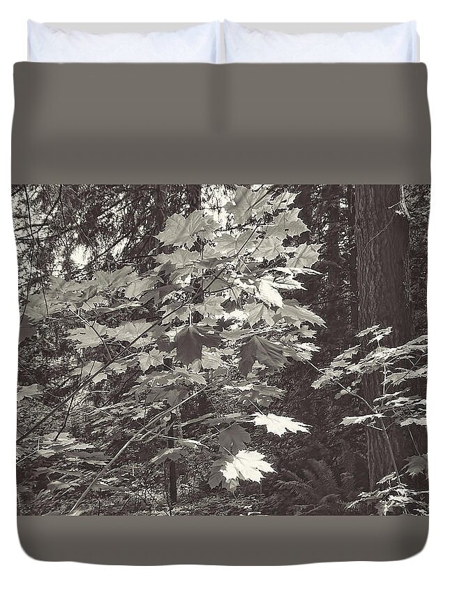 Leaves Duvet Cover featuring the photograph Leaves, lights, and shadow by Cathy Anderson