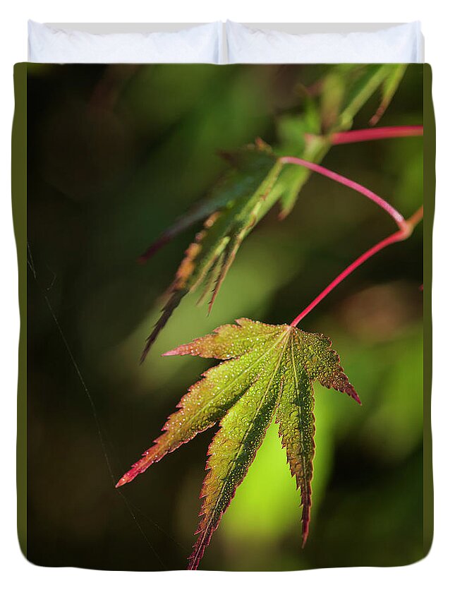 Clatsop County Duvet Cover featuring the photograph Leaves of Japanese Maple by Robert Potts