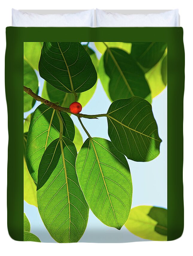 Leaves Duvet Cover featuring the photograph Leaves Of The Banyan by Christopher Holmes