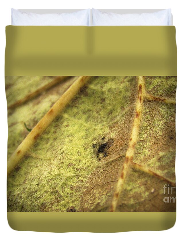 Leaf Duvet Cover featuring the photograph Leaving Summer 2 by Robert Knight
