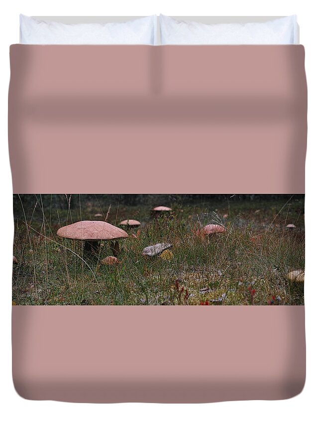 Mushroom Duvet Cover featuring the photograph Leccinum Versipelle by Pekka Sammallahti