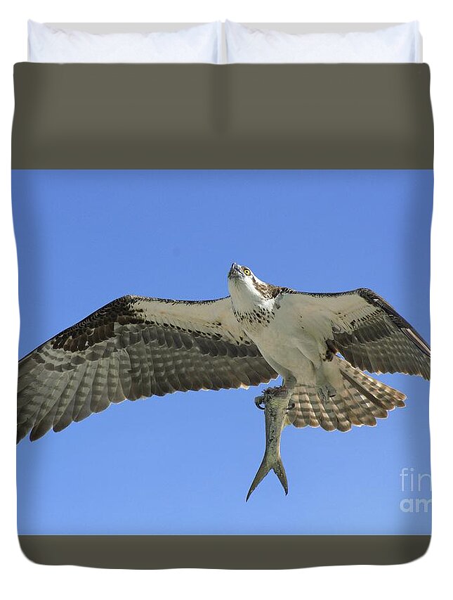 Osprey Duvet Cover featuring the photograph Leftovers by Quinn Sedam