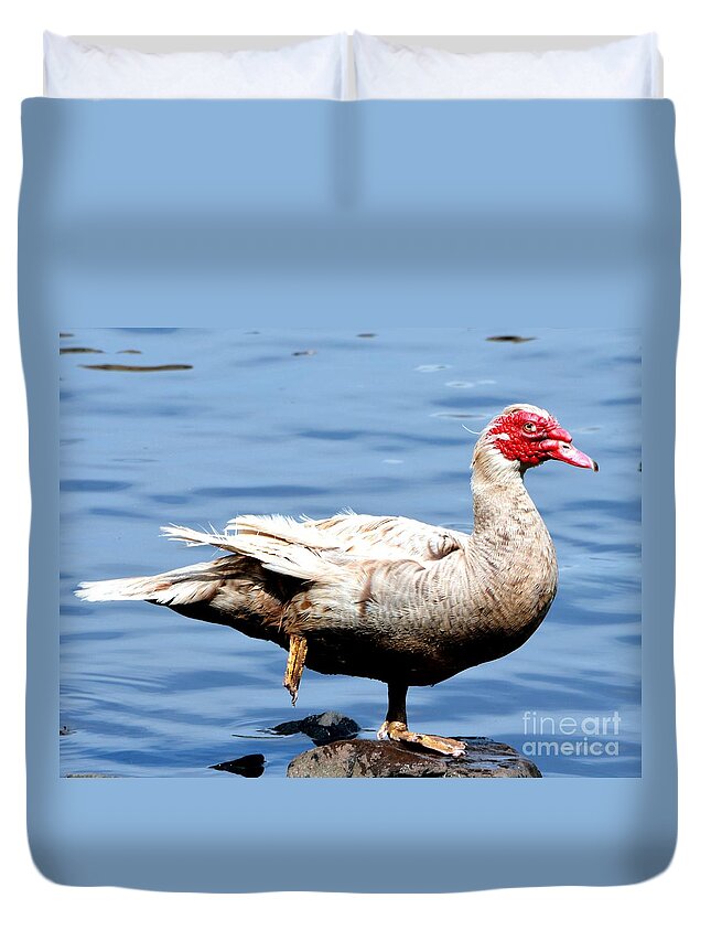 Goose Duvet Cover featuring the photograph Leg Up by Dani McEvoy