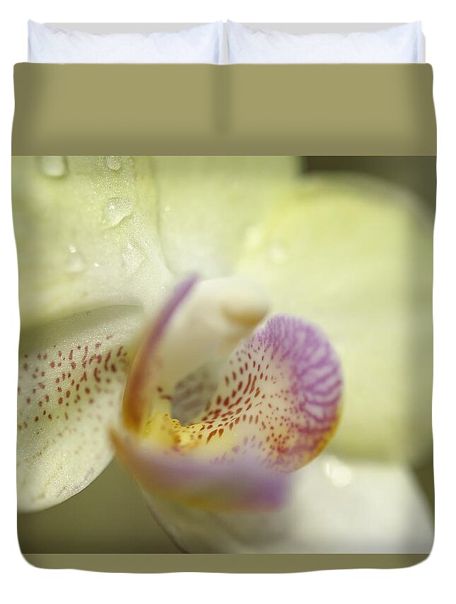Phalemonpsis Duvet Cover featuring the photograph Lemon Lovlilness by Mary Angelini