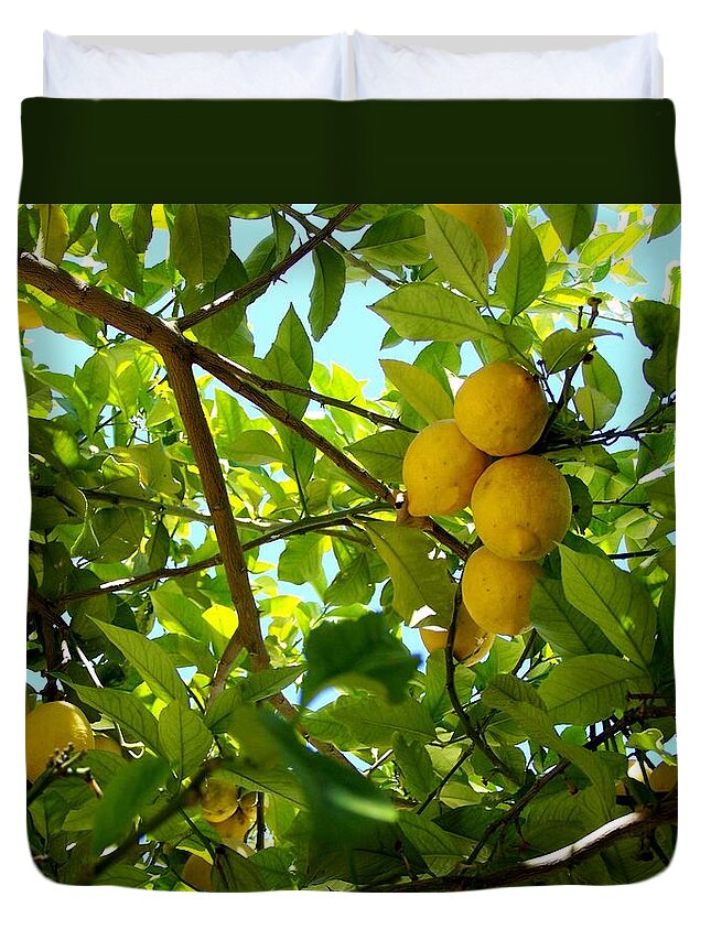 Lemons Duvet Cover featuring the photograph Lemon tree by Christopher Rowlands