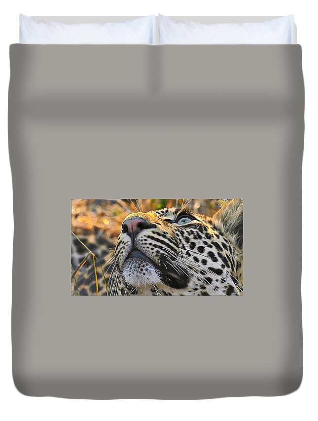 Leopard Duvet Cover featuring the photograph Leopard aloft by Gini Moore