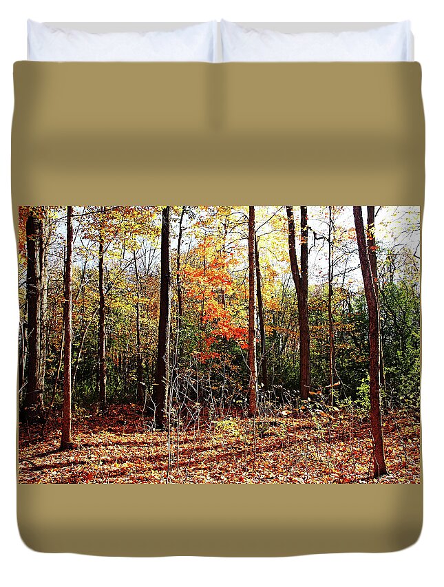 Autumn Duvet Cover featuring the photograph Let The Sun Shine In by Debbie Oppermann