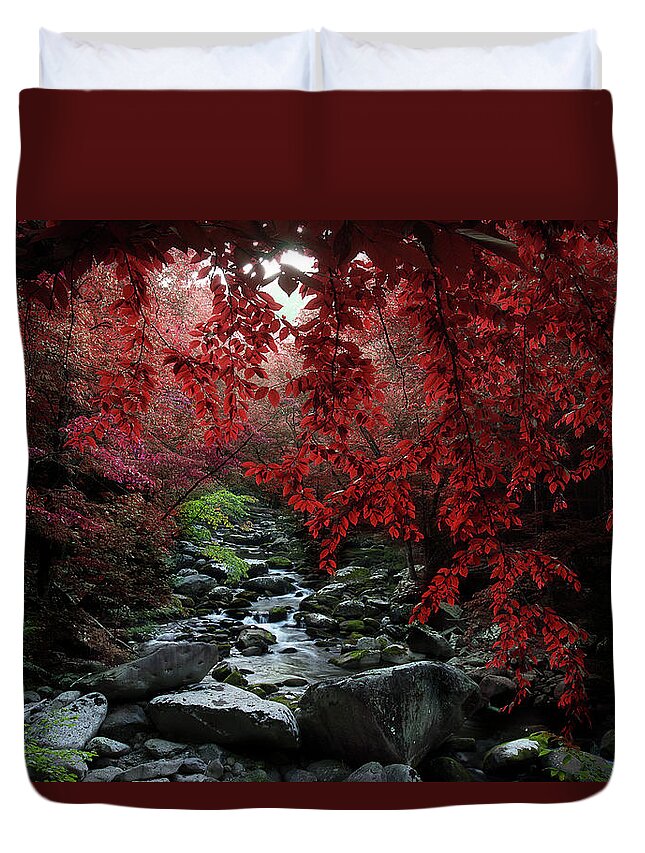 Smoky Mountain Stream Duvet Cover featuring the photograph Let's Dream Together by Mike Eingle