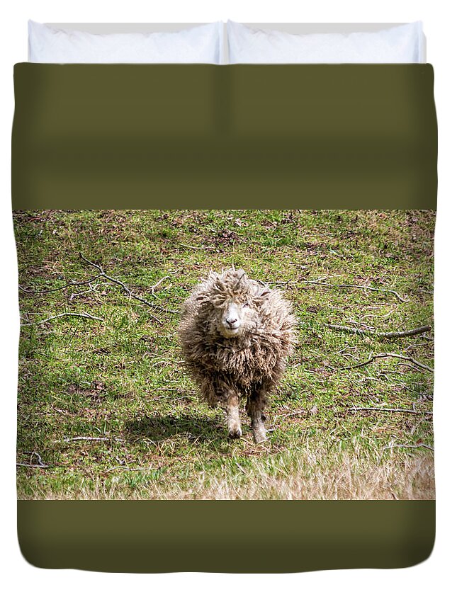 Leicester Duvet Cover featuring the photograph Lettie The Leicester Longwool by Susie Weaver