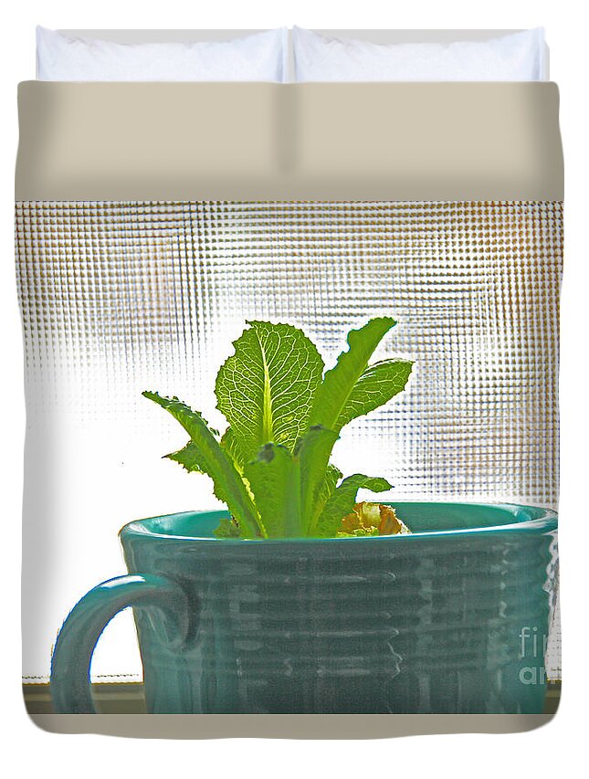 Lettuce Duvet Cover featuring the photograph Lettuce Leaves In Cup by David Frederick