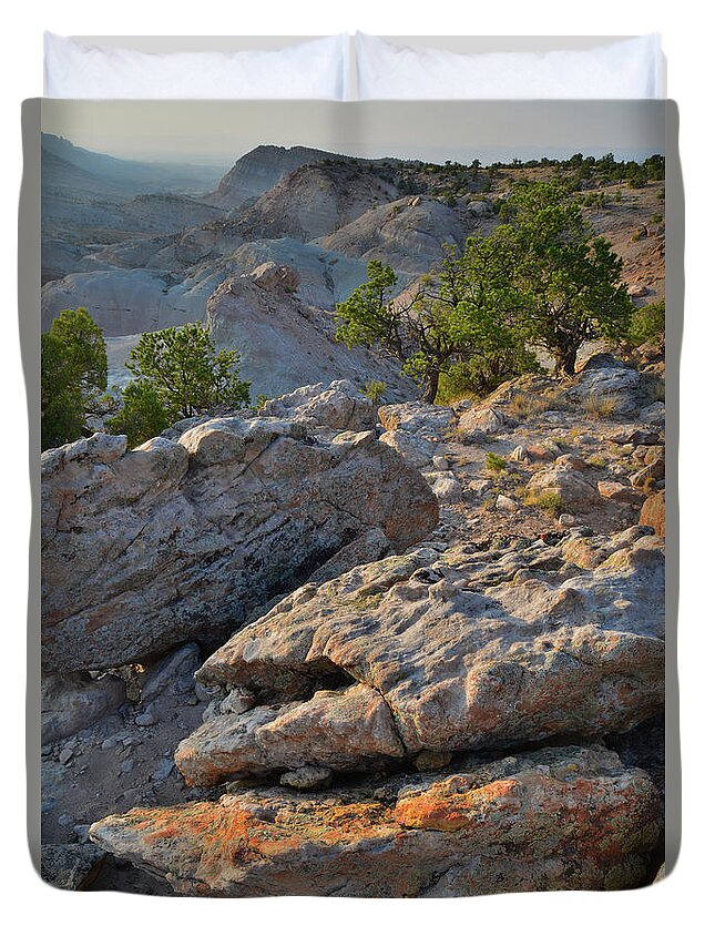 Little Park Road Bentonite Site Duvet Cover featuring the photograph Lichen Covered Boulders Above Bang's Canyon by Ray Mathis
