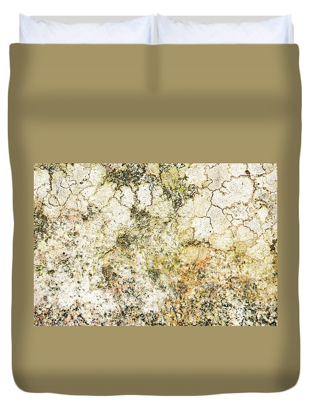 Background Duvet Cover featuring the photograph Lichen on a stone, background by Torbjorn Swenelius