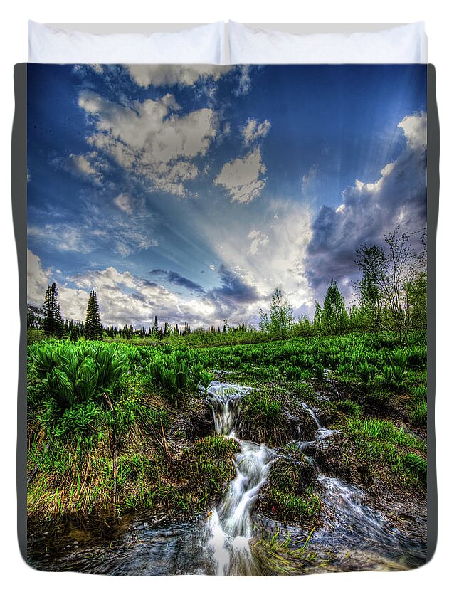 Water Duvet Cover featuring the photograph Life giving stream by Bryan Carter