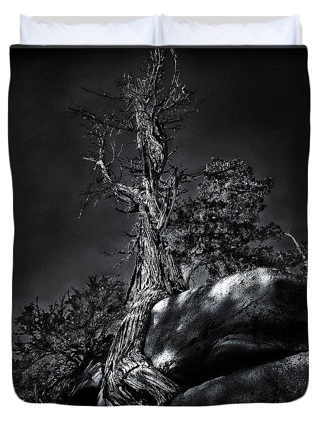 California Duvet Cover featuring the photograph Life Is Tribulation by Denise Dube