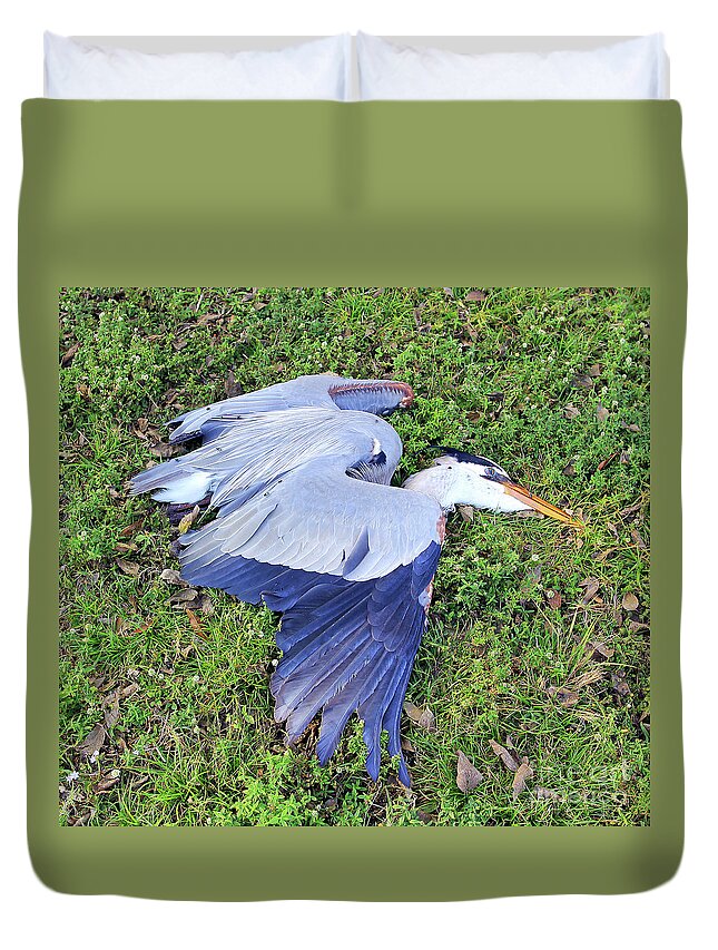  Life Lost Duvet Cover featuring the photograph Life Lost by Jennifer Robin