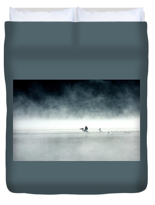Pelicans Duvet Cover featuring the photograph Lift-off by Brian N Duram