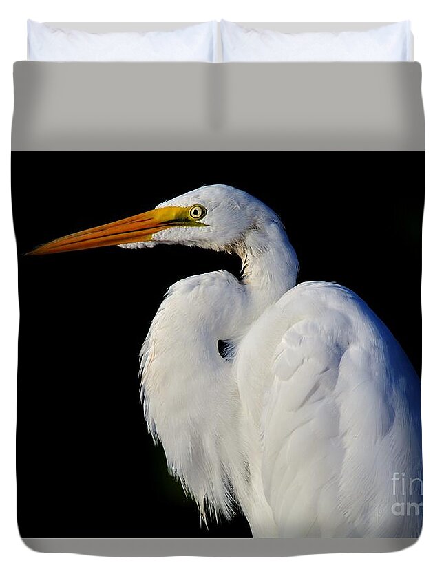 Great White Egret Duvet Cover featuring the photograph Light and Dark by Julie Adair