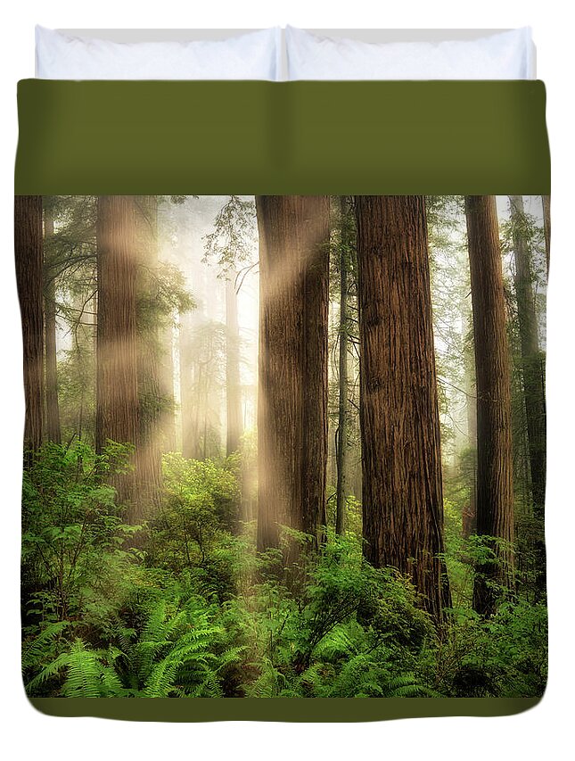 California Duvet Cover featuring the photograph Light Beams by Nicki Frates