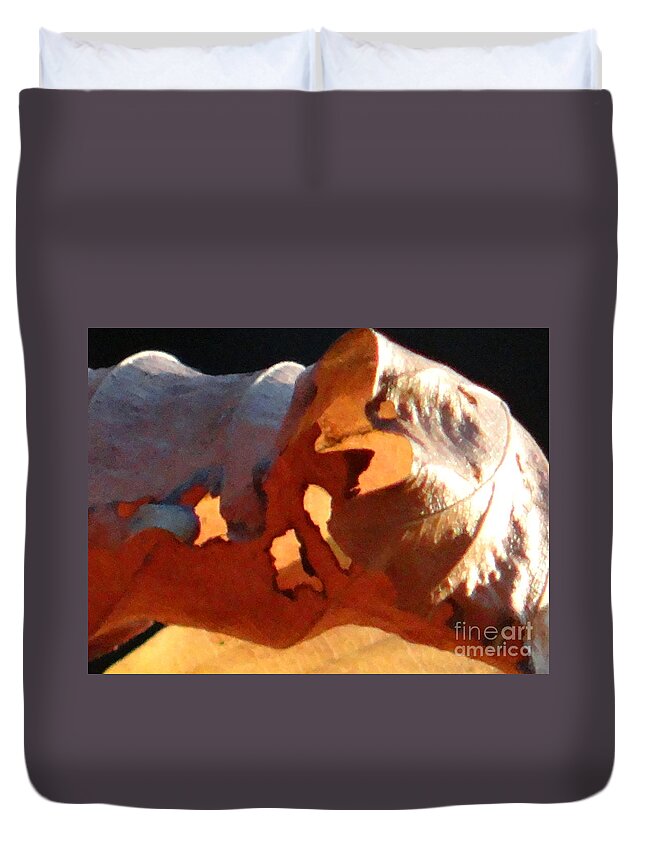 Leaf Duvet Cover featuring the photograph Light in the leaves by Karin Ravasio