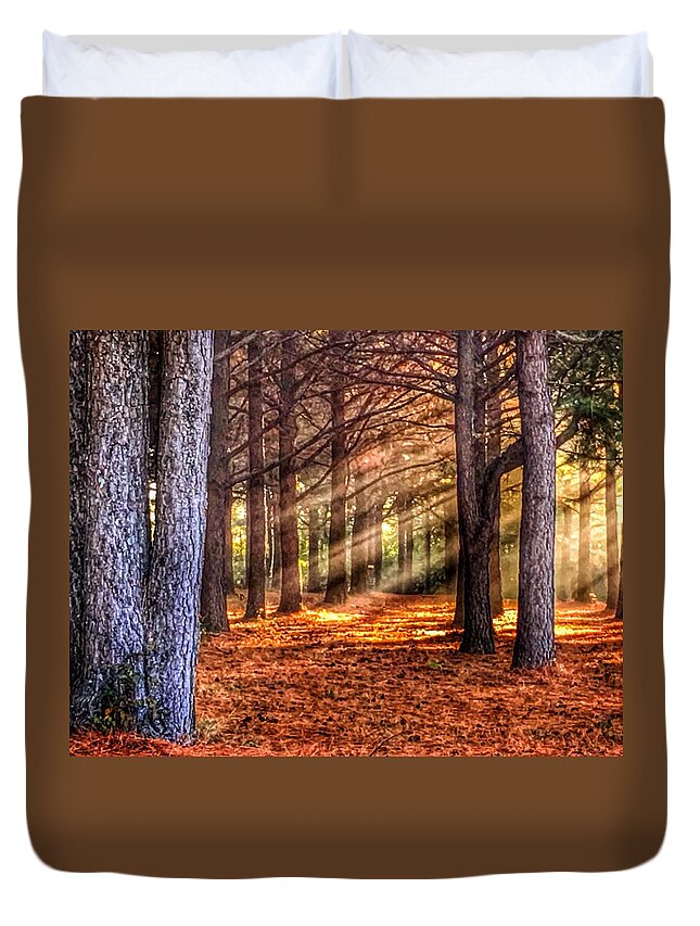 Sunbeams Duvet Cover featuring the photograph Light thru the Trees by Sumoflam Photography