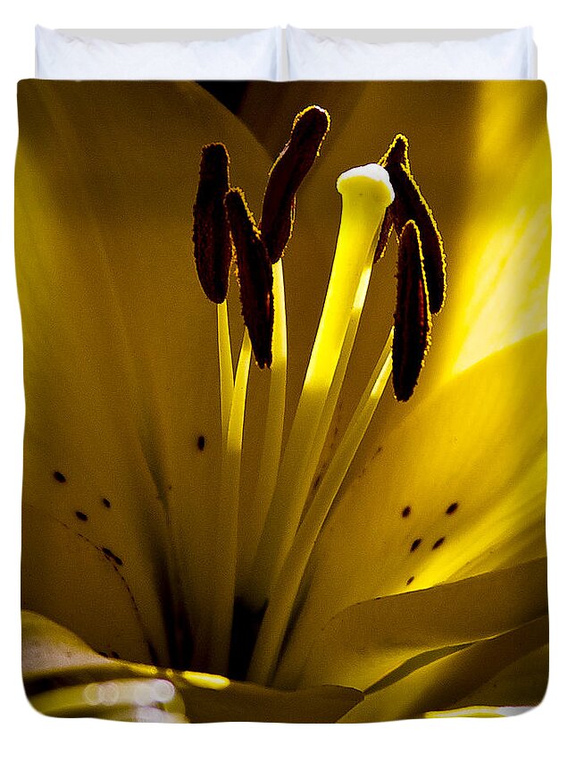 Tiger Lily Duvet Cover featuring the photograph Lighted Lily by David Patterson