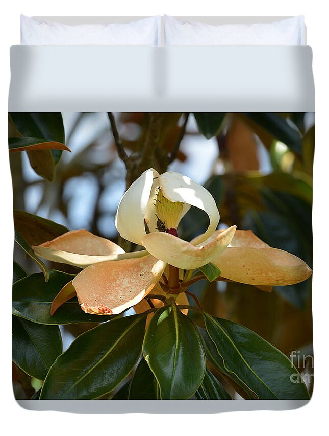 Lightly Toasted Duvet Cover featuring the photograph Lightly Toasted by Maria Urso