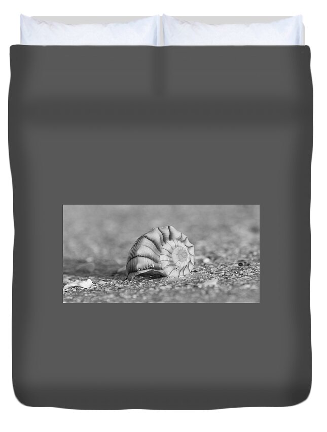 Southwest Duvet Cover featuring the photograph Lightning Whelk by Sean Allen