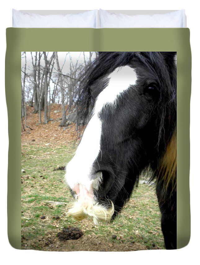 Gypsy Vanner Horse Duvet Cover featuring the photograph Like My Stache by Kim Galluzzo