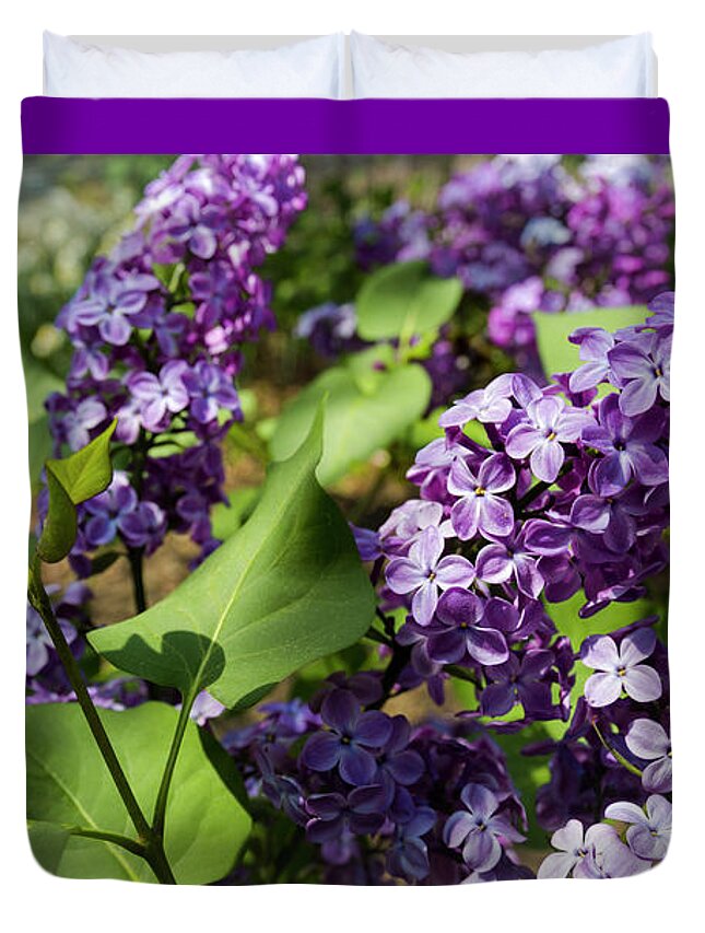 National Arboretum Duvet Cover featuring the photograph Lilac by Agnes Caruso