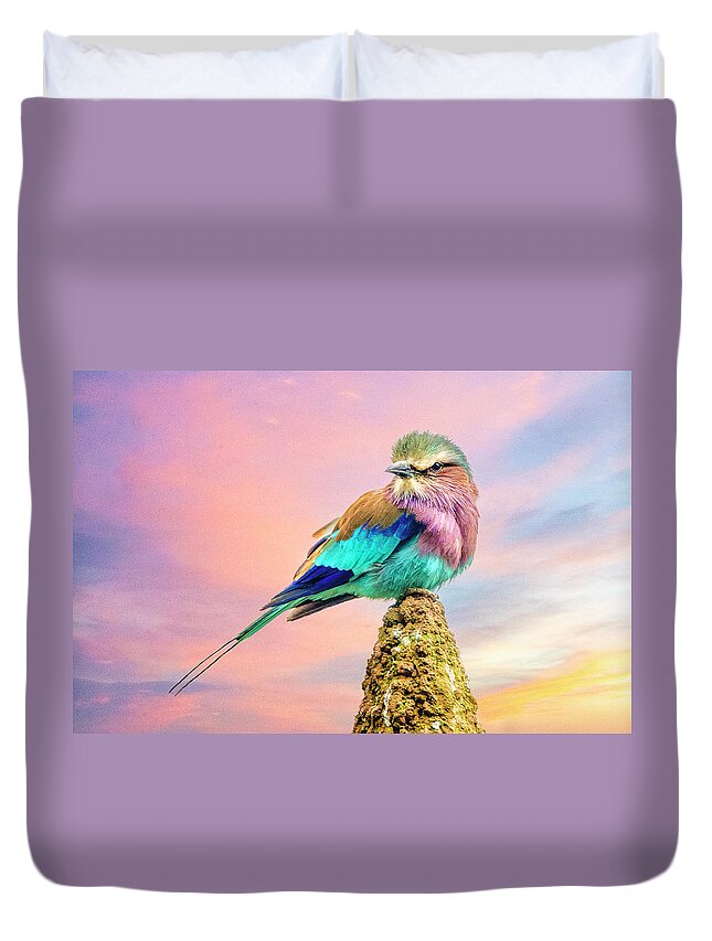 Lilac Breasted Roller Duvet Cover featuring the photograph Lilac Breasted Roller at Sunset by Brian Tarr