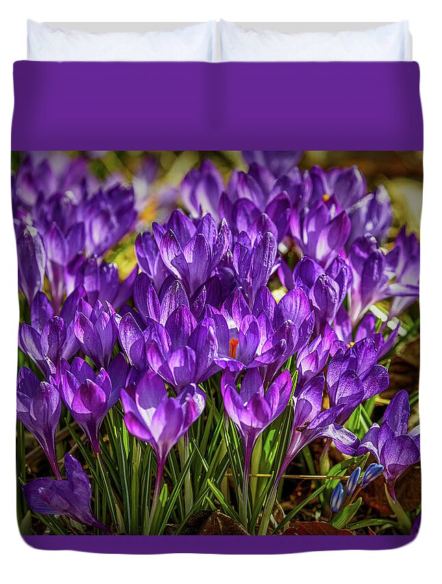 Crocus Duvet Cover featuring the photograph Lilac crocus #g2 by Leif Sohlman