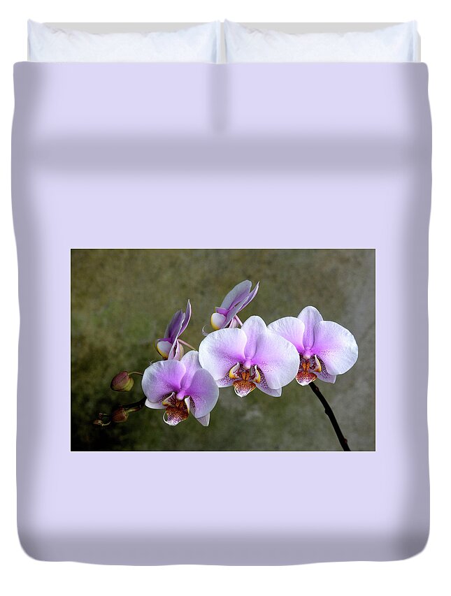 Orchids Duvet Cover featuring the photograph Lilac Orchids by Rochelle Berman