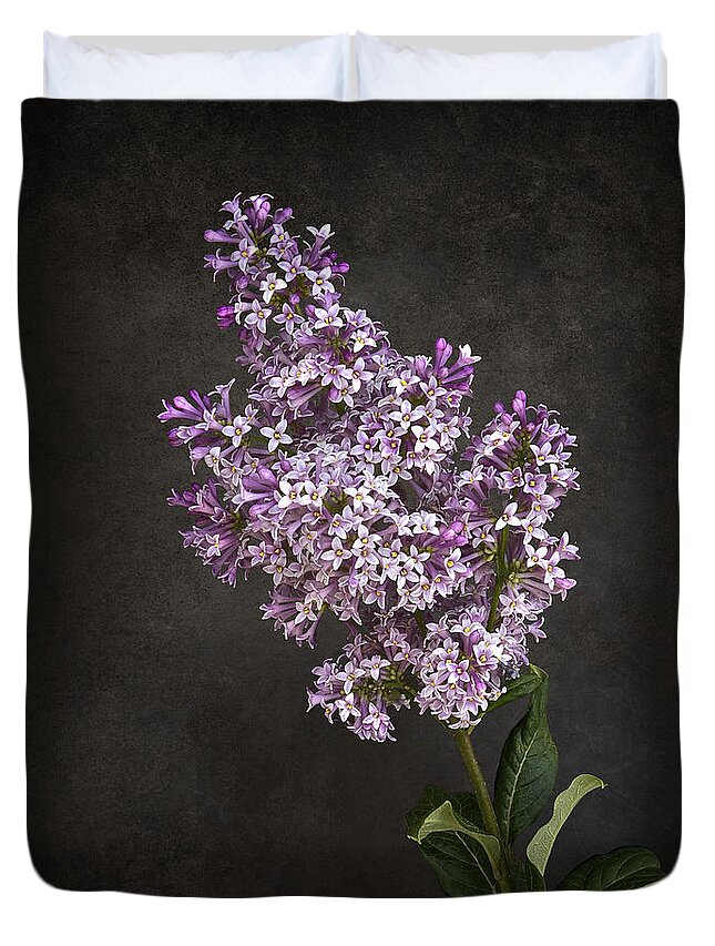 Lilac Duvet Cover featuring the photograph Lilacs by Endre Balogh