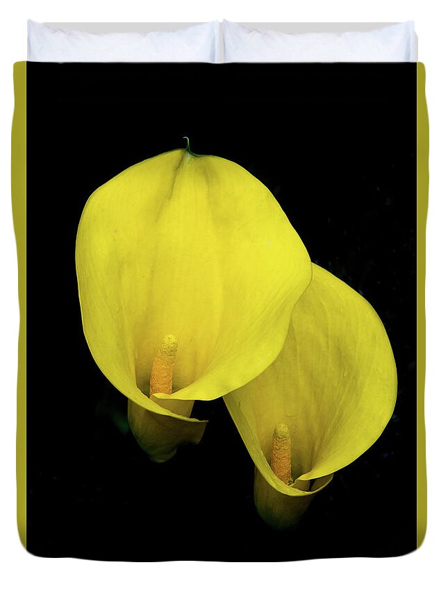 Calla Duvet Cover featuring the photograph Lilies Out of the Dark by Douglas Barnett