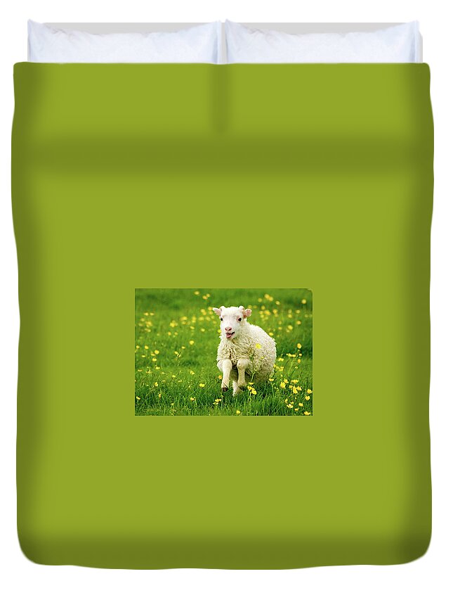 Flatlandsfoto Duvet Cover featuring the photograph Lilly the Lamb by Joan Davis