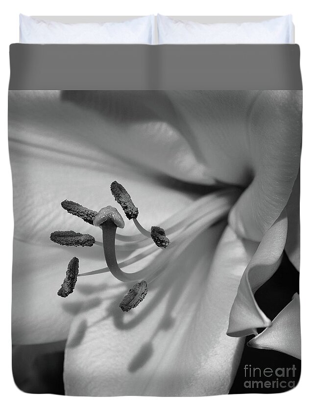 Flowers Duvet Cover featuring the photograph Lily in Black and White by Cindy Manero