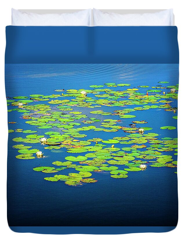 North Port Florida Duvet Cover featuring the photograph Lily Pads by Tom Singleton