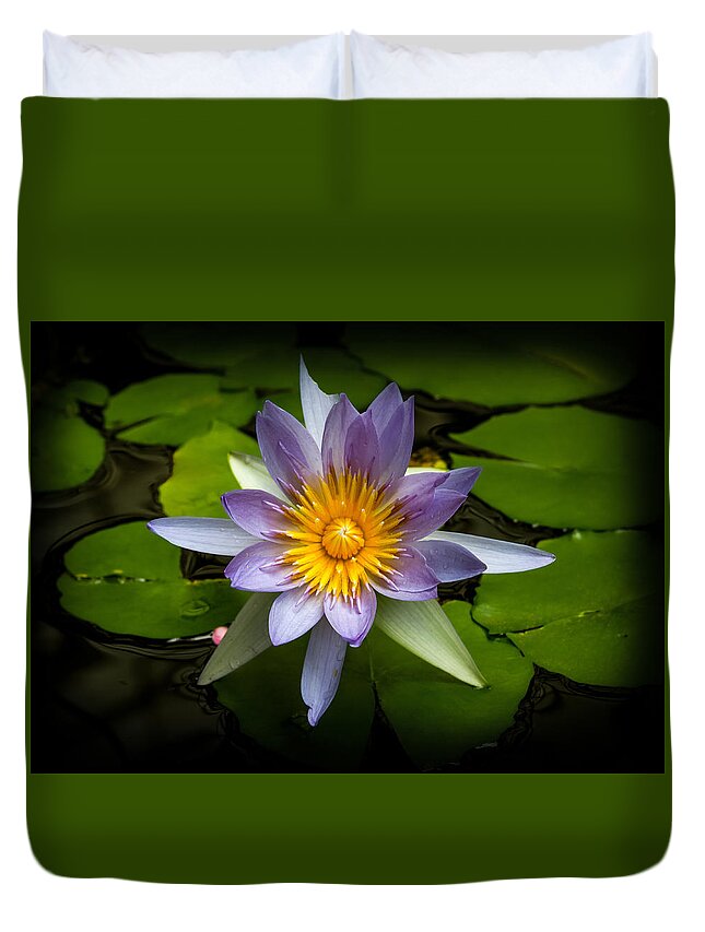 Bonnie Follett Duvet Cover featuring the photograph Lily Queen of the Pond by Bonnie Follett