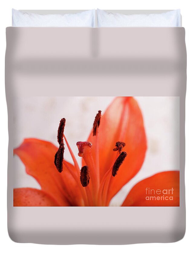 Lily Duvet Cover featuring the photograph Lily Stigma Botanical / Nature / Floral Photograph by PIPA Fine Art - Simply Solid