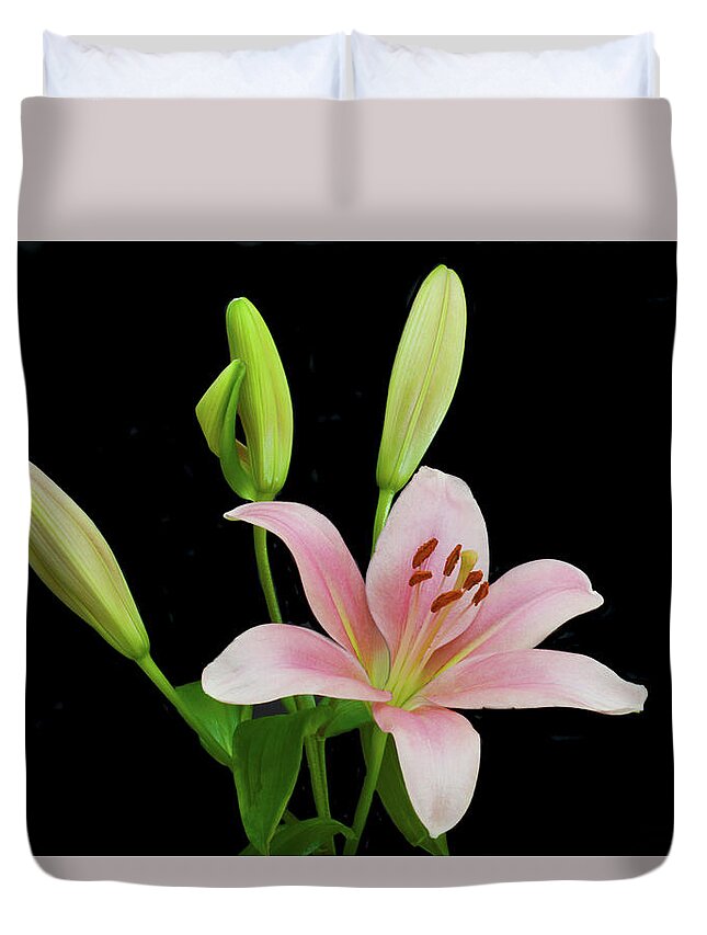 Floral Portraits Duvet Cover featuring the photograph Lily The Pink by Terence Davis