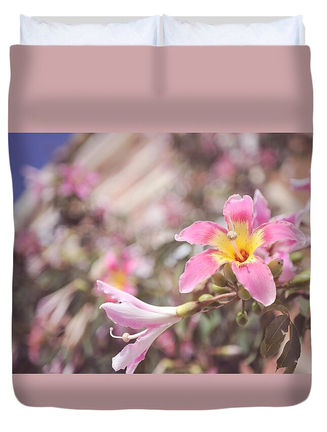 Pink Flowers Duvet Cover featuring the photograph Lily Tree. Flowers of Malaga by Jenny Rainbow