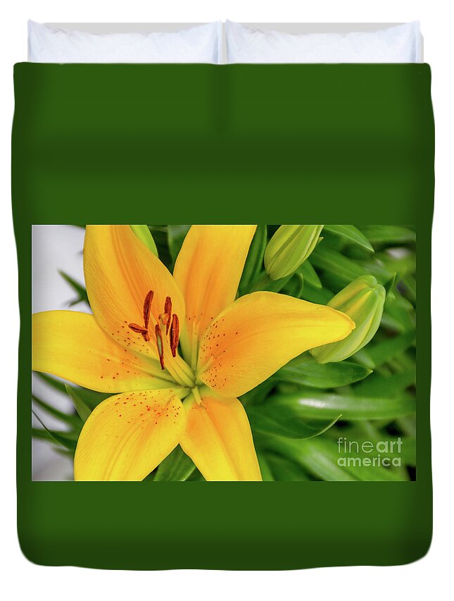 Lily Duvet Cover featuring the photograph Lily by William Norton