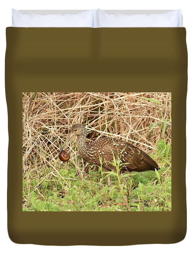 Limpkin Duvet Cover featuring the photograph Limpkin Eating an Apple Snail by Artful Imagery