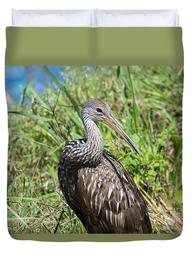 Limpkin Duvet Cover featuring the photograph Limpkin by John Greco