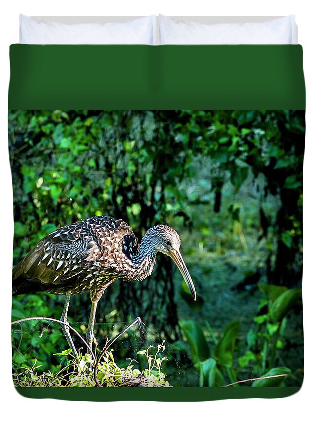 Limpkin Duvet Cover featuring the photograph Limpkin by Norman Johnson