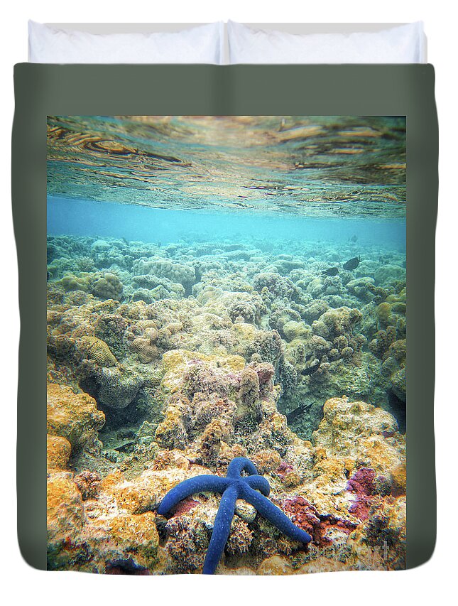 Coral Reef Duvet Cover featuring the photograph Linkia Love by Becqi Sherman